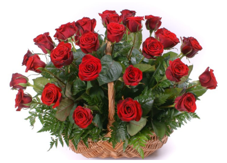 Ilustracja do pytania 27