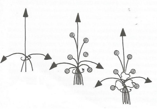 Ilustracja do pytania 9