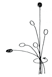 Ilustracja do pytania 36