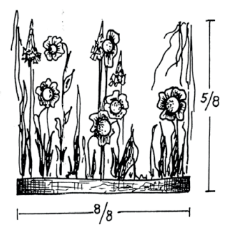 Ilustracja do pytania 29