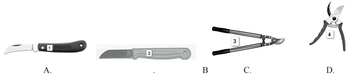 Ilustracja do pytania 32