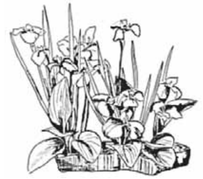 Ilustracja do pytania 22