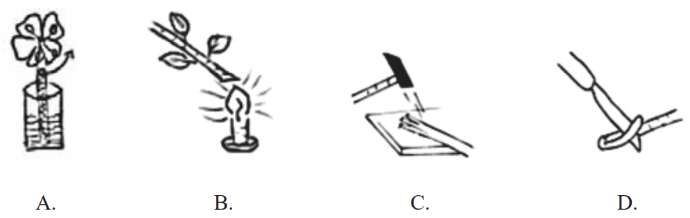 Ilustracja do pytania 34