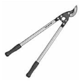 Ilustracja do pytania