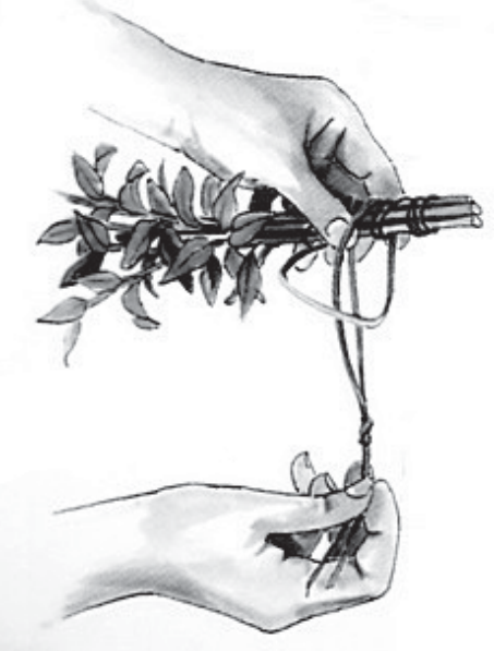 Ilustracja do pytania 31