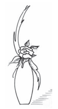 Ilustracja do pytania 15