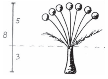 Ilustracja do pytania 31
