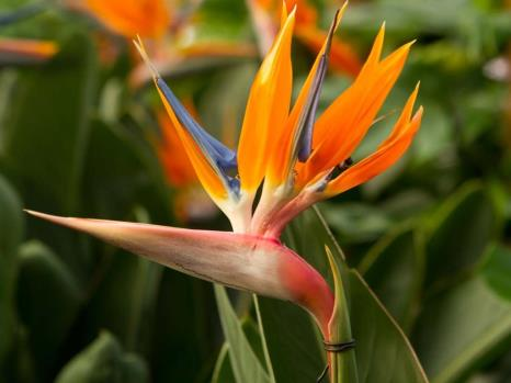 Ilustracja do pytania 7