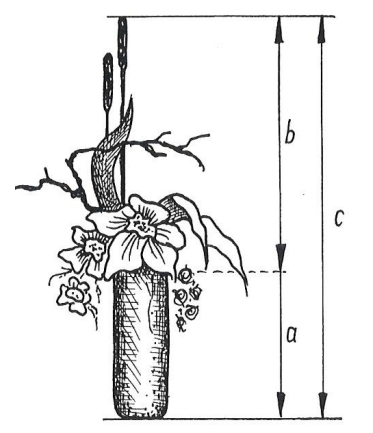 Ilustracja do pytania 30