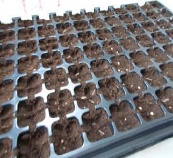 Ilustracja do pytania 9