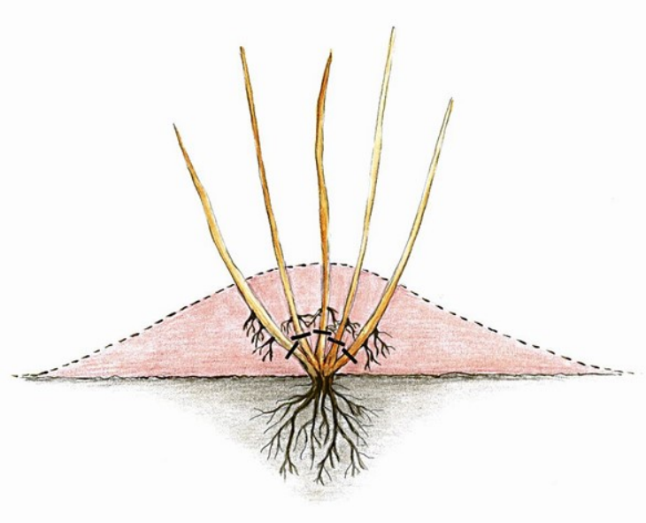 Ilustracja do pytania 39