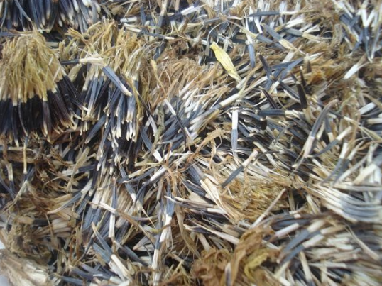 Ilustracja do pytania 25