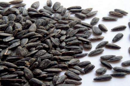 Ilustracja do pytania 3