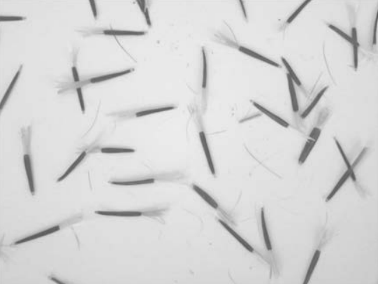 Ilustracja do pytania 31