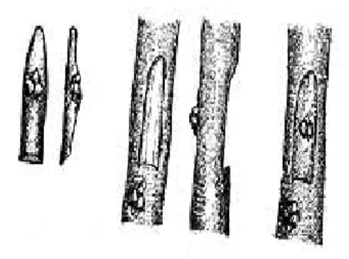 Ilustracja do pytania 5