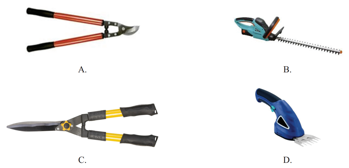 Ilustracja do pytania