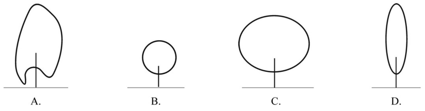 Ilustracja do pytania 6