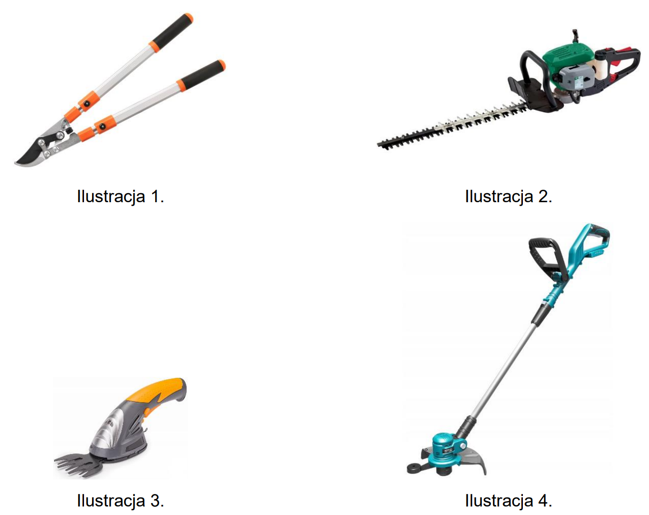 Ilustracja do pytania