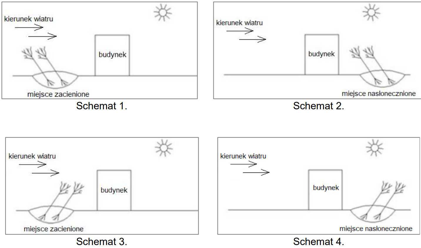 Ilustracja do pytania