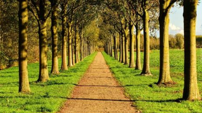 Ilustracja do pytania