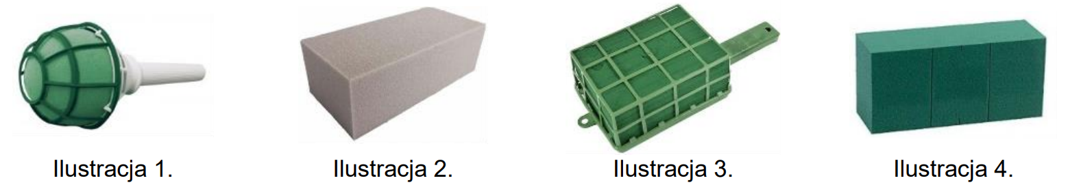 Ilustracja do pytania