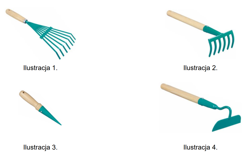 Ilustracja do pytania