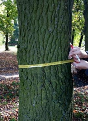 Ilustracja do pytania