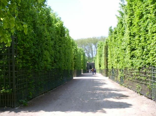 Ilustracja do pytania 39