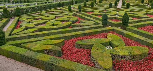 Ilustracja do pytania