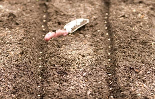 Ilustracja do pytania 14