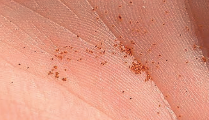 Ilustracja do pytania 5