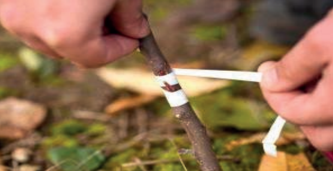 Ilustracja do pytania 23