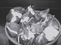 Ilustracja do pytania 21