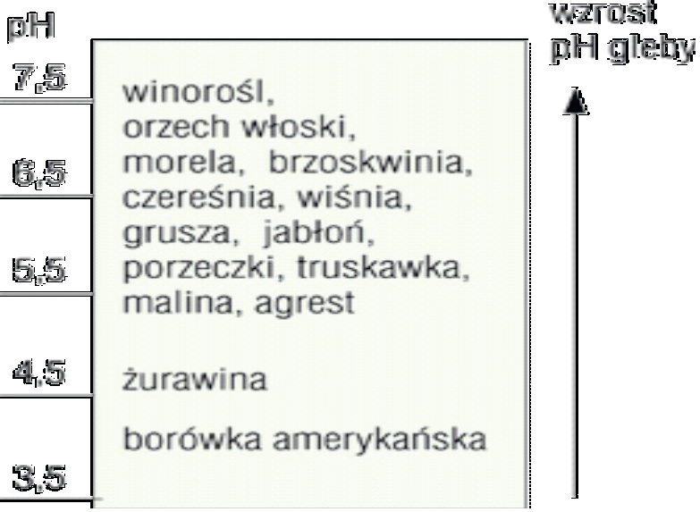 Ilustracja do pytania 40