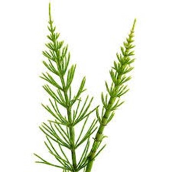 Ilustracja do pytania 37