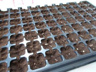 Ilustracja do pytania 5