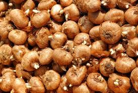 Ilustracja do pytania 7