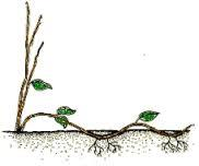 Ilustracja do pytania 5