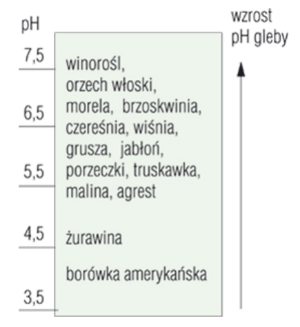 Ilustracja do pytania 33