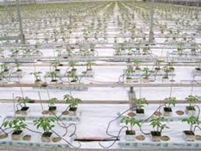 Ilustracja do pytania 13