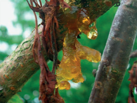 Ilustracja do pytania 35