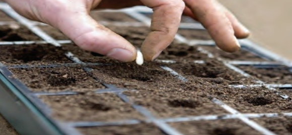 Ilustracja do pytania 15