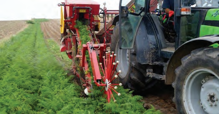 Ilustracja do pytania 16