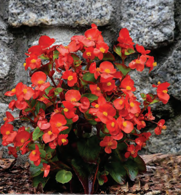 Ilustracja do pytania 14