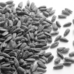 Ilustracja do pytania 24