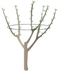 Ilustracja do pytania 27