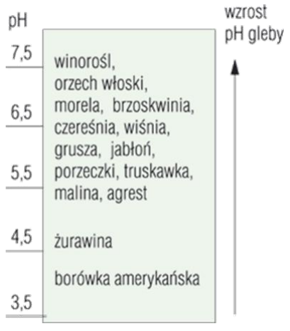 Ilustracja do pytania 40