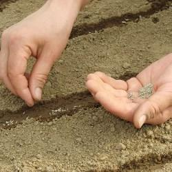 Ilustracja do pytania 5