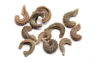 Ilustracja do pytania 23