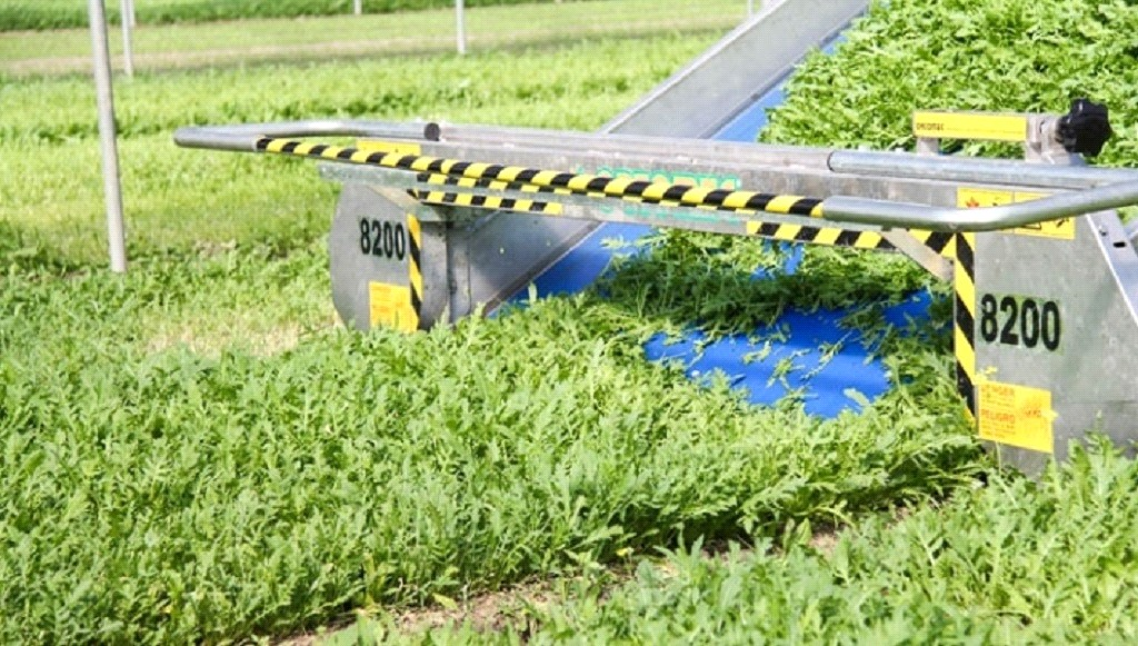 Ilustracja do pytania 30